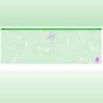 SoftPro High Security Hologram Green - Middle