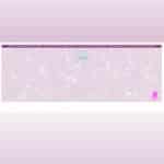 SoftPro High Security Hologram Maroon - Middle
